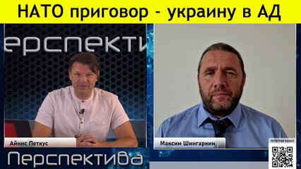 М. Шингаркин: Как ЕВРОмакаки дрались за ящик бананов...
