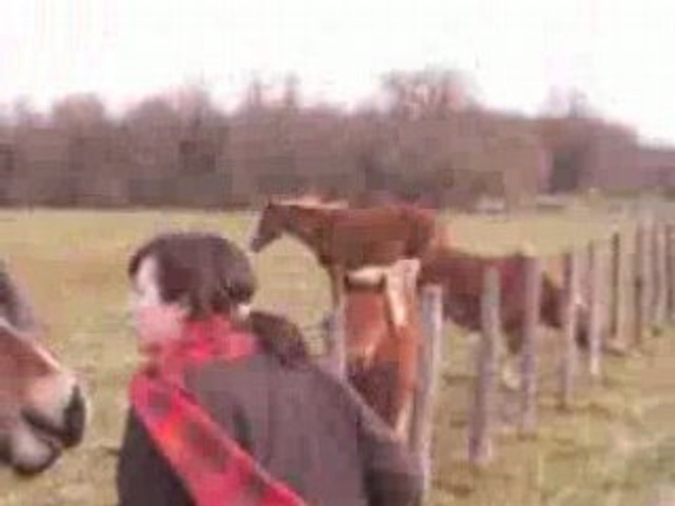 Hell ( Alienor et Marie )