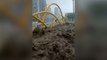 China floods: River rages in Beijing after Typhoon Doksuri makes landfall