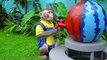 KiKi Monkey pretend cashier at supermarket and play with Red vs Blue Watermelon _ KUDO ANIMAL KIKI