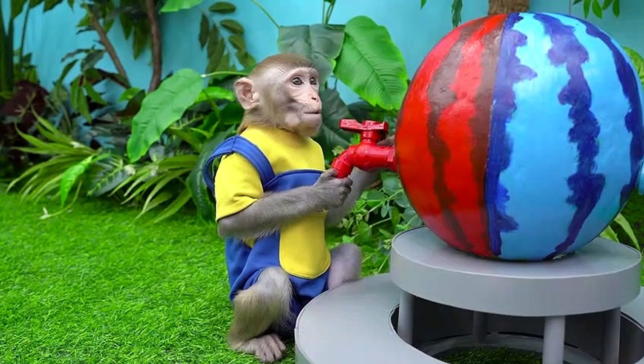 KiKi Monkey pretend cashier at supermarket and...