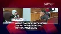 Mario Dandy Ngaku 'Gabut' Sebelum Ajak Shane Temui David Ozora