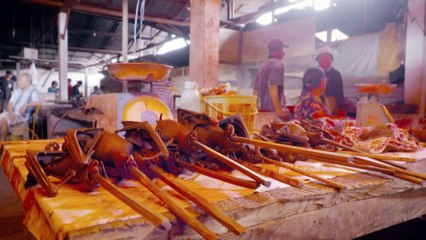 Calls for wet market to extend dog and cat meat ban to bats