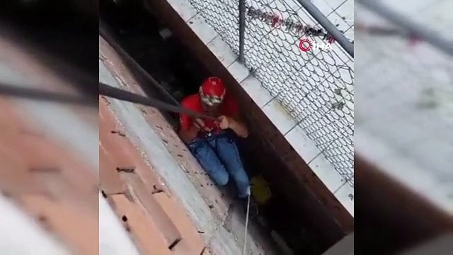 Le chat, tombé à 8 mètres de profondeur entre deux bâtiments, a été secouru par les équipes