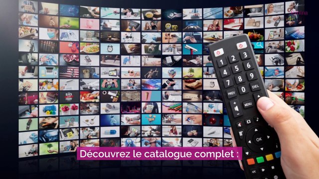 Les séries du mois d'août à regarder sur les plateformes de streaming
