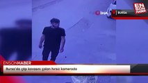 Bursa’da çöp kovasını çalan hırsız kamerada