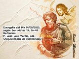 Evangelio del Día 01/08/2023, según San Mateo 13, 36-43 - P. José Luis Morillo, sdb