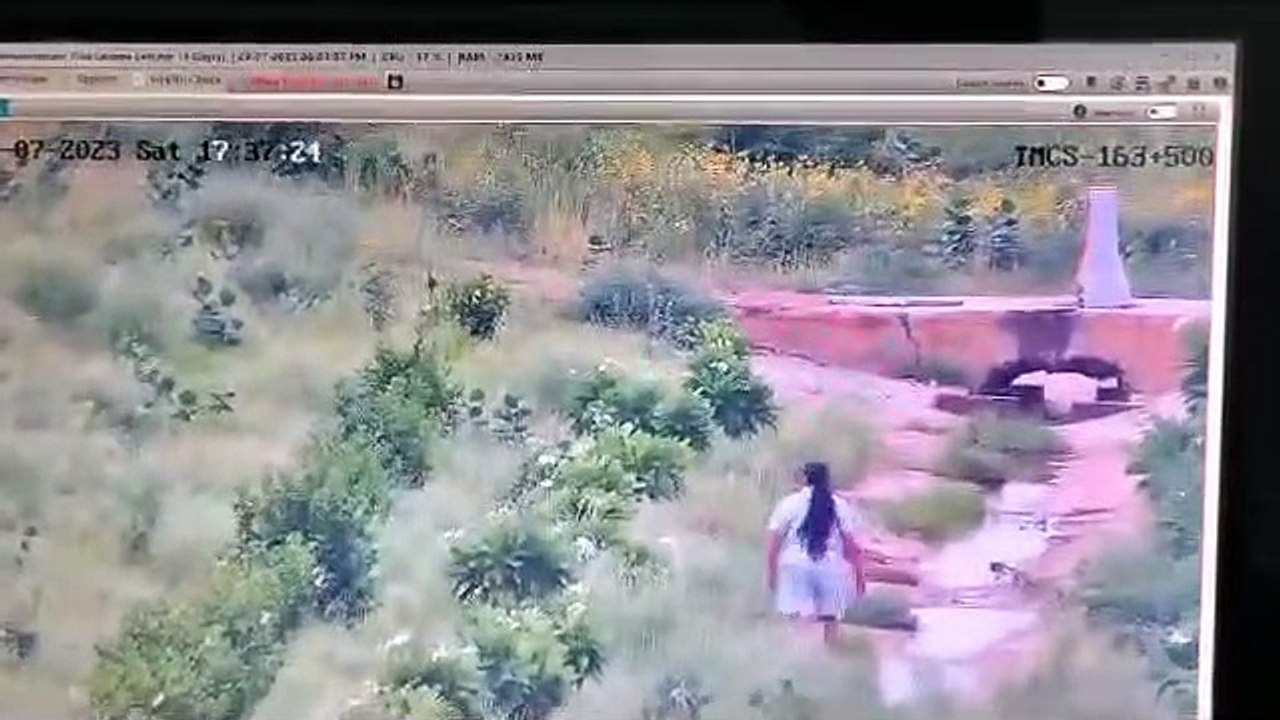 Video: लग्जरी कार में आए, एक्सप्रेस-वे से पेड़ चुराए, मामला दर्ज, पुलिस कर रही तलाश