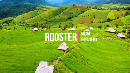 Rooster - Telecasted  Rock Music, Funky Music, Calm Music, Hope Music