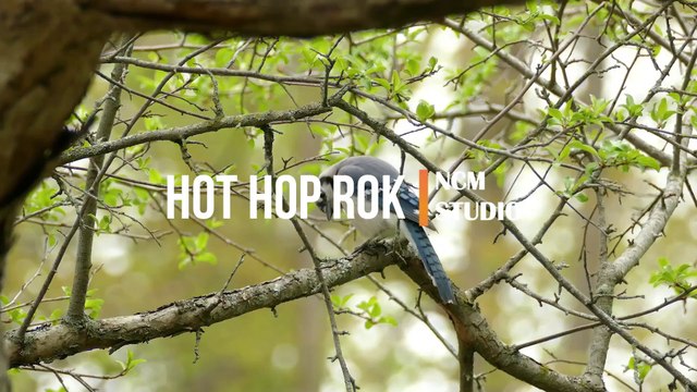 Hot Hop Rok - Steve Adams RnB Music, Funky Music, Calm Music