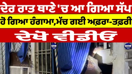 ਦੇਰ ਰਾਤ ਥਾਣੇ 'ਚ ਆ ਗਿਆ ਸੱਪ, ਹੋ ਗਿਆ ਹੰਗਾਮਾ, ਮੱਚ ਗਈ ਅਫ਼ਰਾ-ਤਫ਼ਰੀ, ਦੇਖੋ Video |OneIndia Punjabi