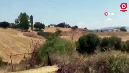 Çanakkale’de tarım arazilerinin bulunduğu bölgede yangın