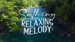 Beautiful Relaxing Music - Find Serenity with Soothing Instrumental Tunes ｜ Inner Calm ｜ Calming Music