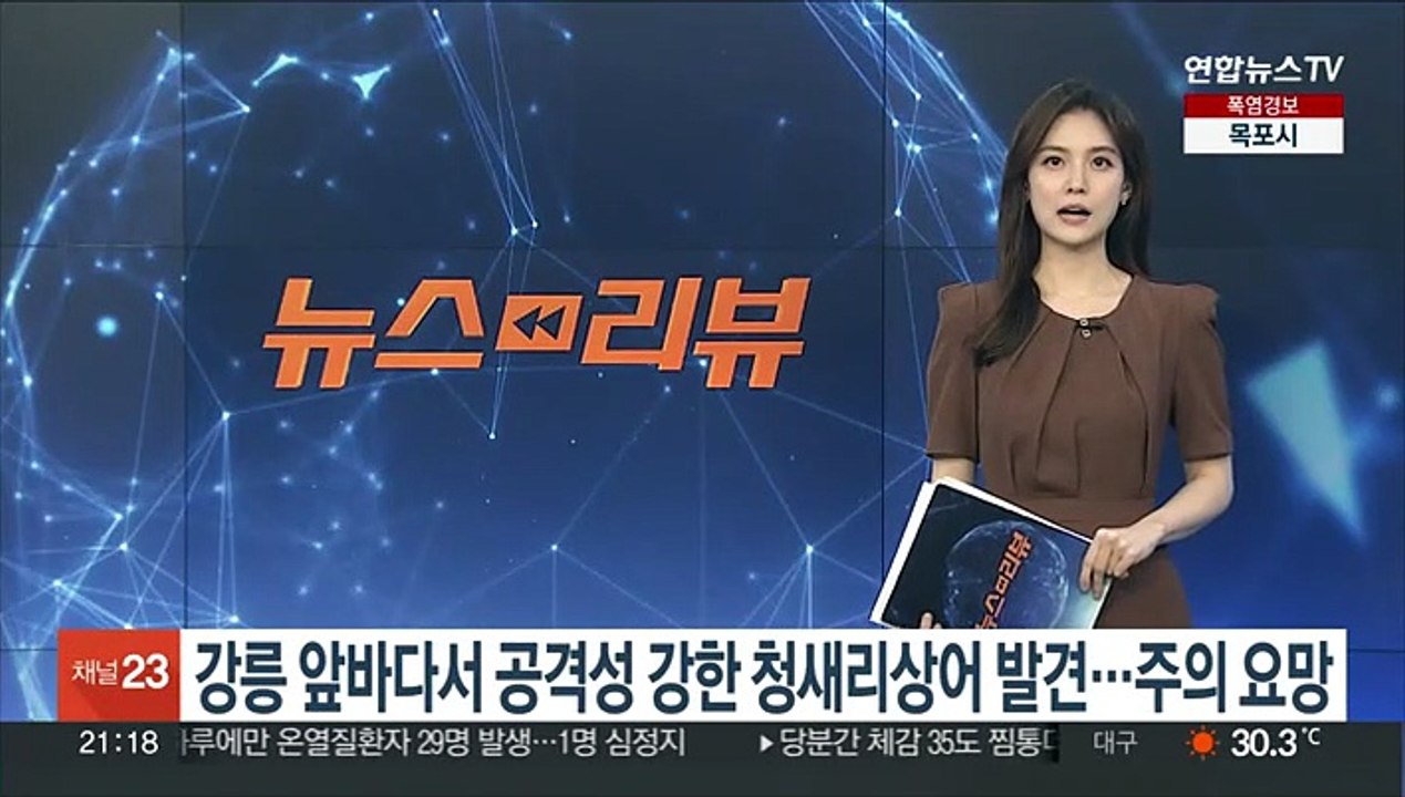 강릉 앞바다서 공격성 강한 청새리상어 발견…주의 요망