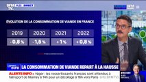 La consommation de viande a augmenté de 0,8% en 2022 en France