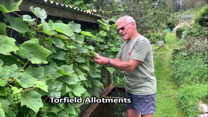 Download Video: Open Gardens in Hastings Old Town, East Sussex, on August 1 2023