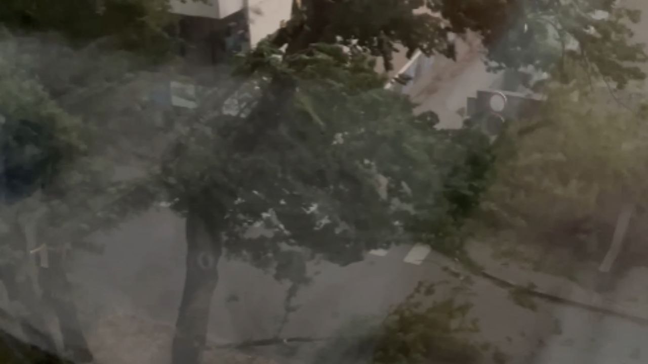 A tree breaks and nearly crushes a car underneath during the Mega storm in Croatia