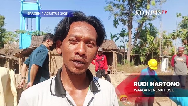 Warga Sragen Gali Fondasi Rumah Temukan Fosil Gading Gajah Purba Berusia Ratusan Ribu Tahun