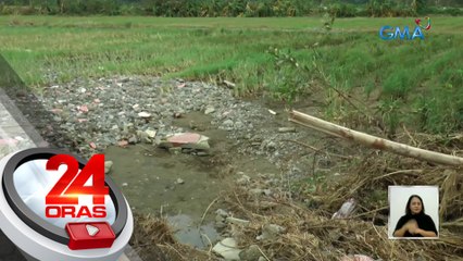 Pinsala sa agrikultura ng Bagyong Egay at habagat, aabot sa P1.9-B; agri supply, maayos ayon kay PBBM | 24 Oras