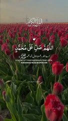 zee_alquran_2023-08-01-18-27-38_1690896458833