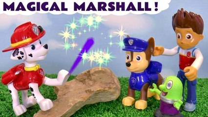 Paw Patrol Marshall Saves The Day For Ryder and the Pups Cartoon Toy Story