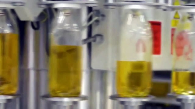 Le ministère du Commerce a interdit les exportations d'huile d'olive pendant 3 mois en raison de l'augmentation des prix sur le marché intérieur