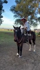 Poses de chien à cheval