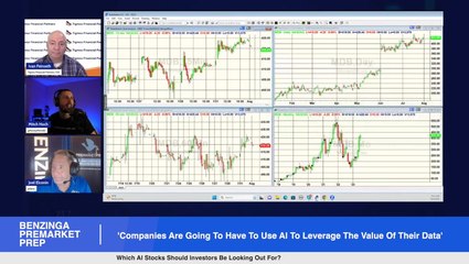 "Companies Are Going To Have To Use AI To Leverage The Value Of Their Data", Which AI Stocks Should Investors Be Looking Out For?