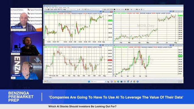 Companies Are Going To Have To Use AI To Leverage The Value Of Their Data , Which AI Stocks Should Investors Be Looking Out For?