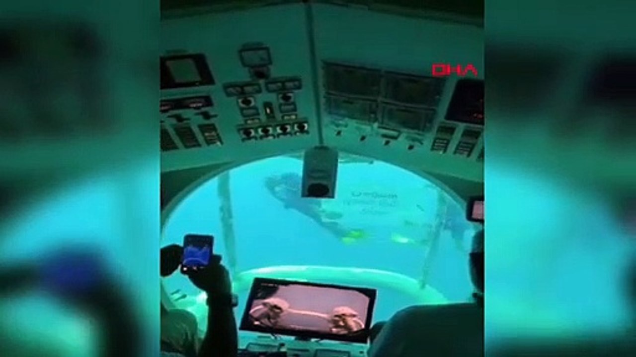 Gülten Akbaba, vivant en Allemagne, a fêté son anniversaire sous la mer