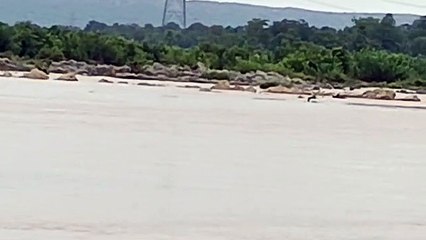 18 किलोमीटर के पैदल सर्चिंग में भी नहीं मिला चार दिन से लापता युवक