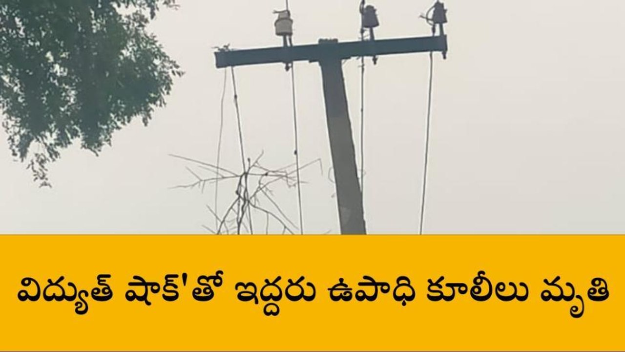 విద్యుత్ షాక్‌తో ఇద్దరు ఉపాధి కూలీలు దుర్మరణం