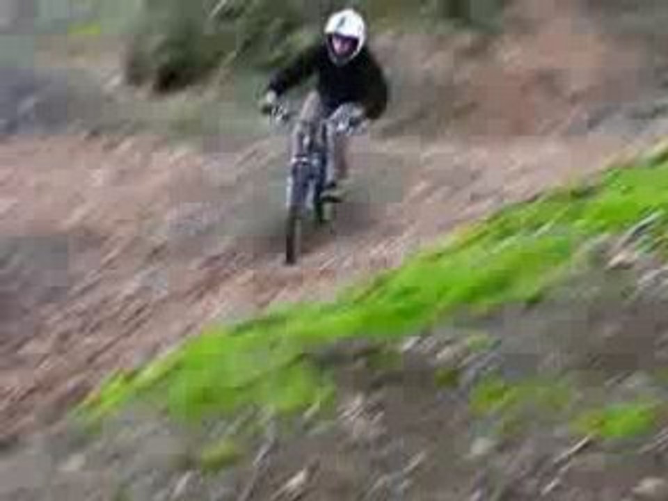 DH Spy 07