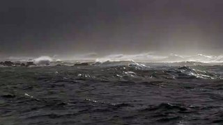 sensation sea storm