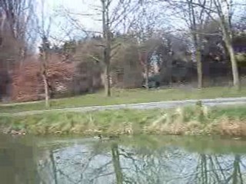 Pêche au coup à carpe / raté