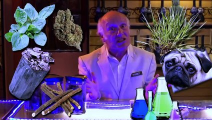 Evil Bong: High 5 Bande-annonce (EN)