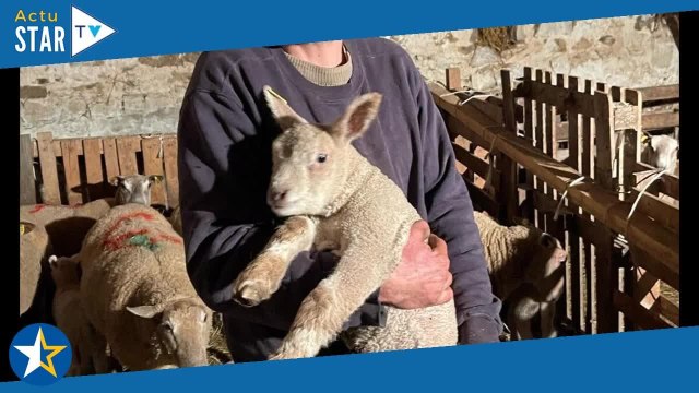 Laurent (L'amour est dans le pré) séparé de Maud : surprenantes révélations sur sa rencontre avec sa