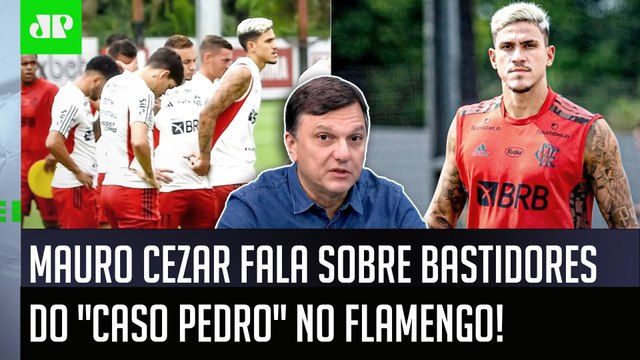 BASTIDORES! O que SE FALA INTERNAMENTE é que o Pedro... Mauro Cezar FALA TUDO sobre o Flamengo!