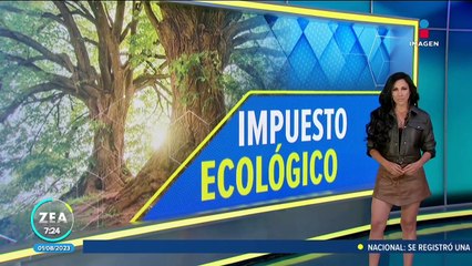 Querétaro busca salvar los bosques con un impuesto ecológico
