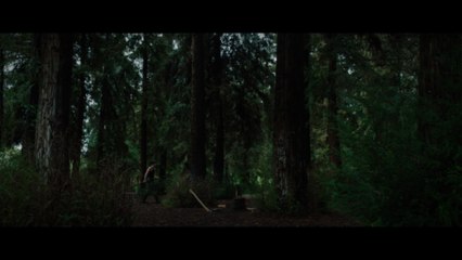 David Kushner - Daylight (Brazilian Portuguese Lyric Video)