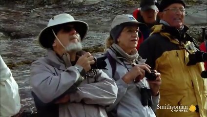 The Tourist Expedition With a Dangerous End