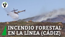 Incendio en un paraje de La Línea de la Concepción (Cádiz) obliga al desalojo de varias viviendas