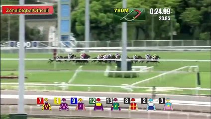 Pakistani Horse make everyone Surprise During International Race