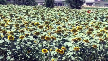 Başkan Kırbiç: Yağ fiyatları aslında pahalı değil