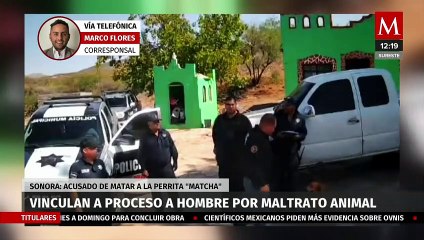 Detienen a hombre que mató a la perrita "Matcha" durante pleito con vecinos en Sonora