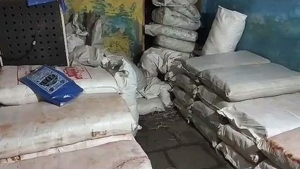 Corporation raided four places in eight hours, seized 6 tonnes of polythene worth Rs 4.70 lakh