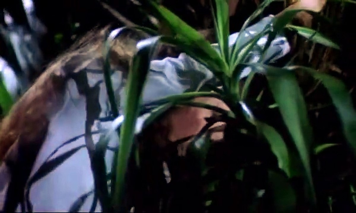 ΘΑ ΣΕ ΔΩ ΣΤΗΝ ΚΟΛΑΣΗ ΑΓΑΠΗ ΜΟΥ VHSRIP (1999)