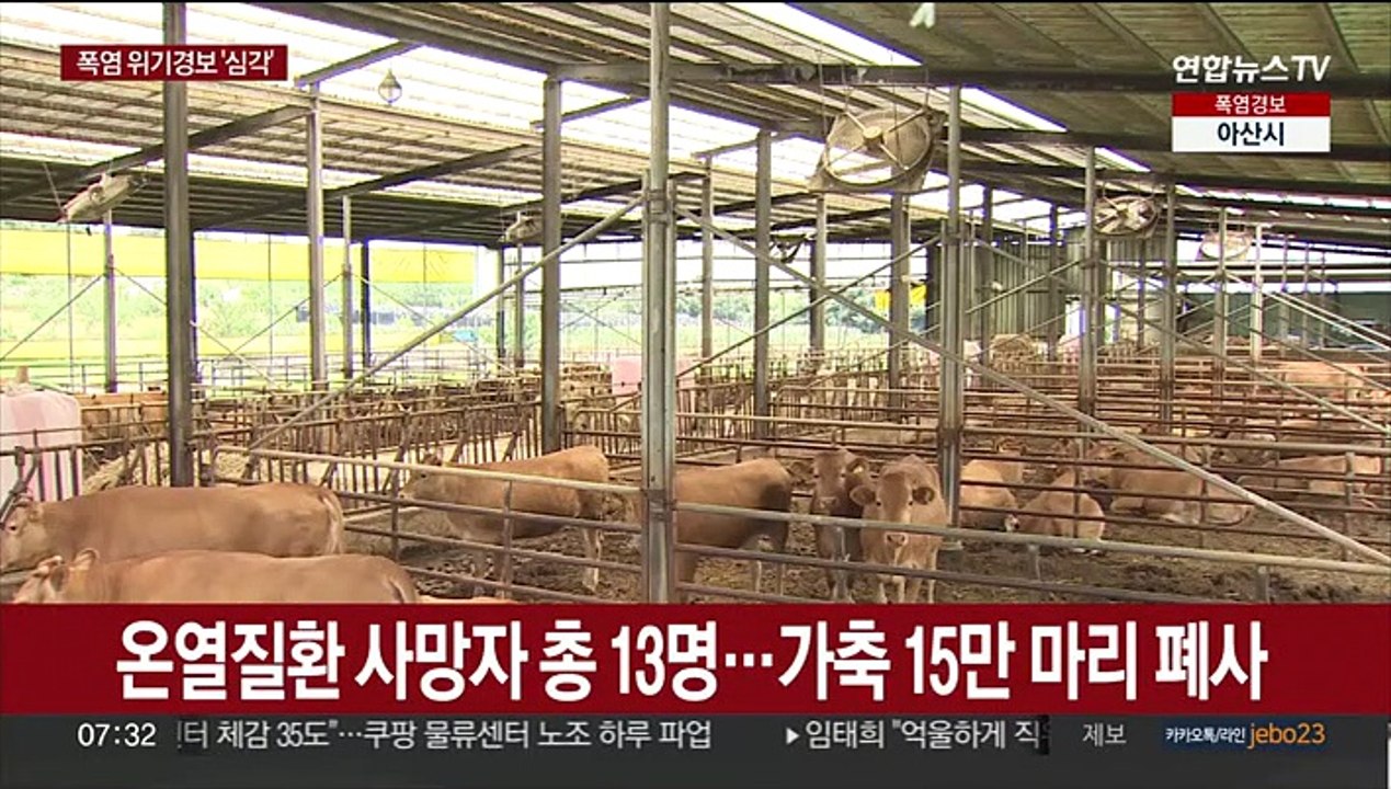 폭염 위기경보 4년 만에 '심각'…누적 환자 1,191명