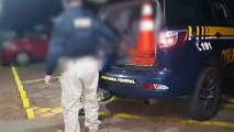 Homem é detido pela PRF enquanto dirigia carro furtado na BR-277