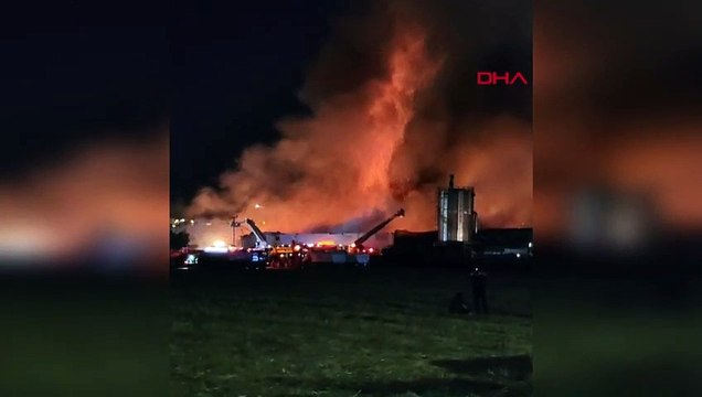 L'incendie qui s'est déclaré dans l'usine de produits forestiers de Bursa s'est propagé à 9 autres usines